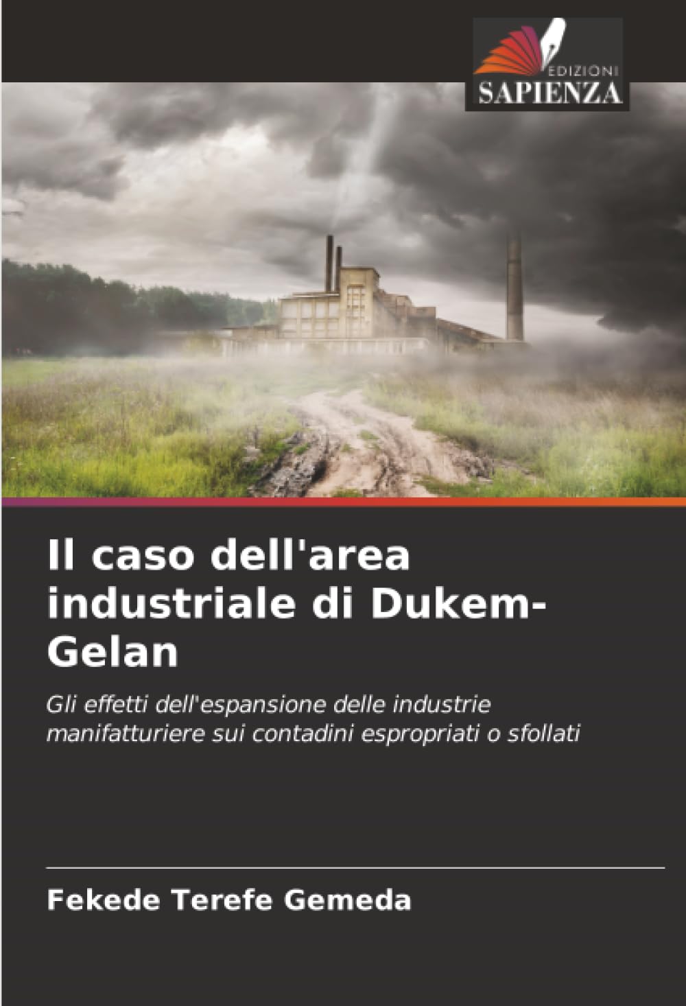 Il caso dell'area industriale di Dukem-Gelan: Gli effetti dell'espansione delle industrie manifatturiere sui contadini espropriati o sfollati