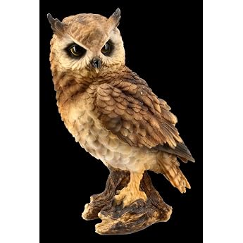 Figuren Shop GmbH Owl Animal Figurine - Forest Eared Owl Large Bird Figurine, Decorative Figure, Decorative Article, Statue, 