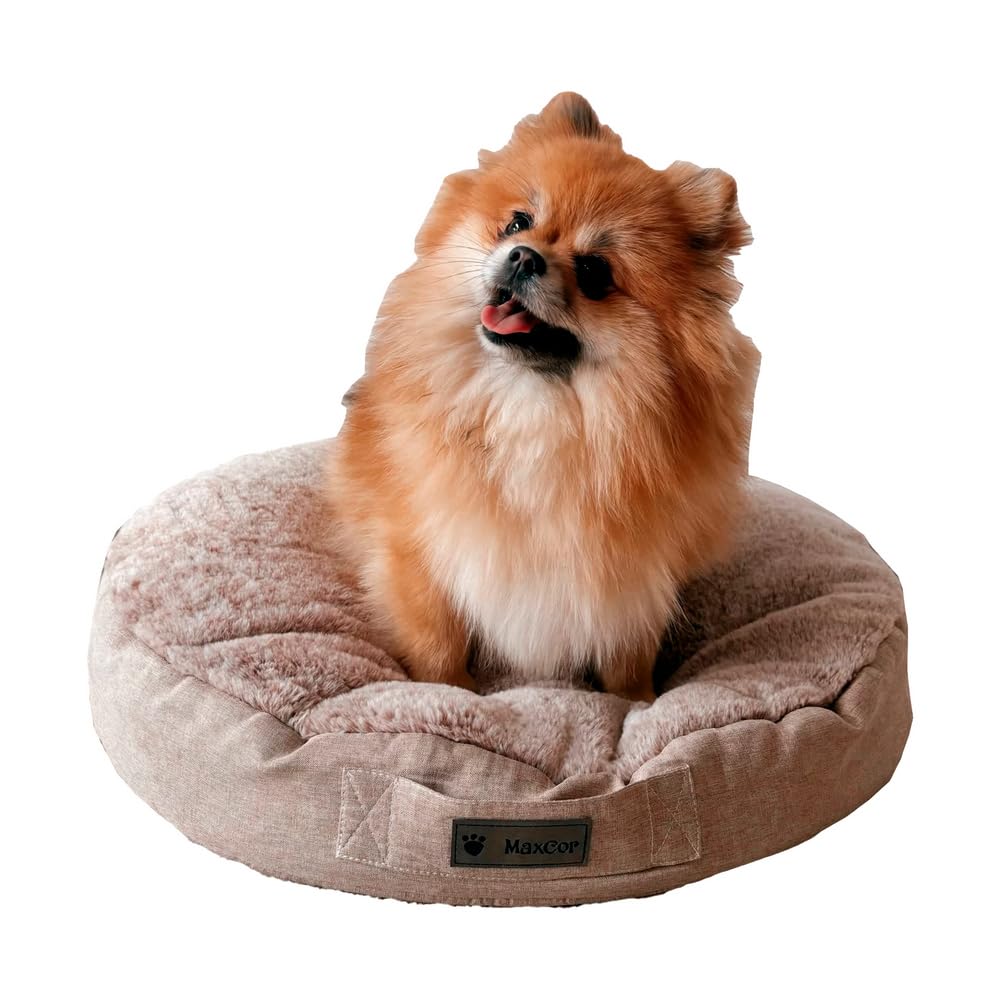 MaxCor Coussin Chien et Chat Rond à Mémoire de Forme Orthopédique - Petit Beige - Soulage et Préserve Les articulations - Réversible Face Hiver, Face été - Ne se déforme Pas et Lavable en Machine