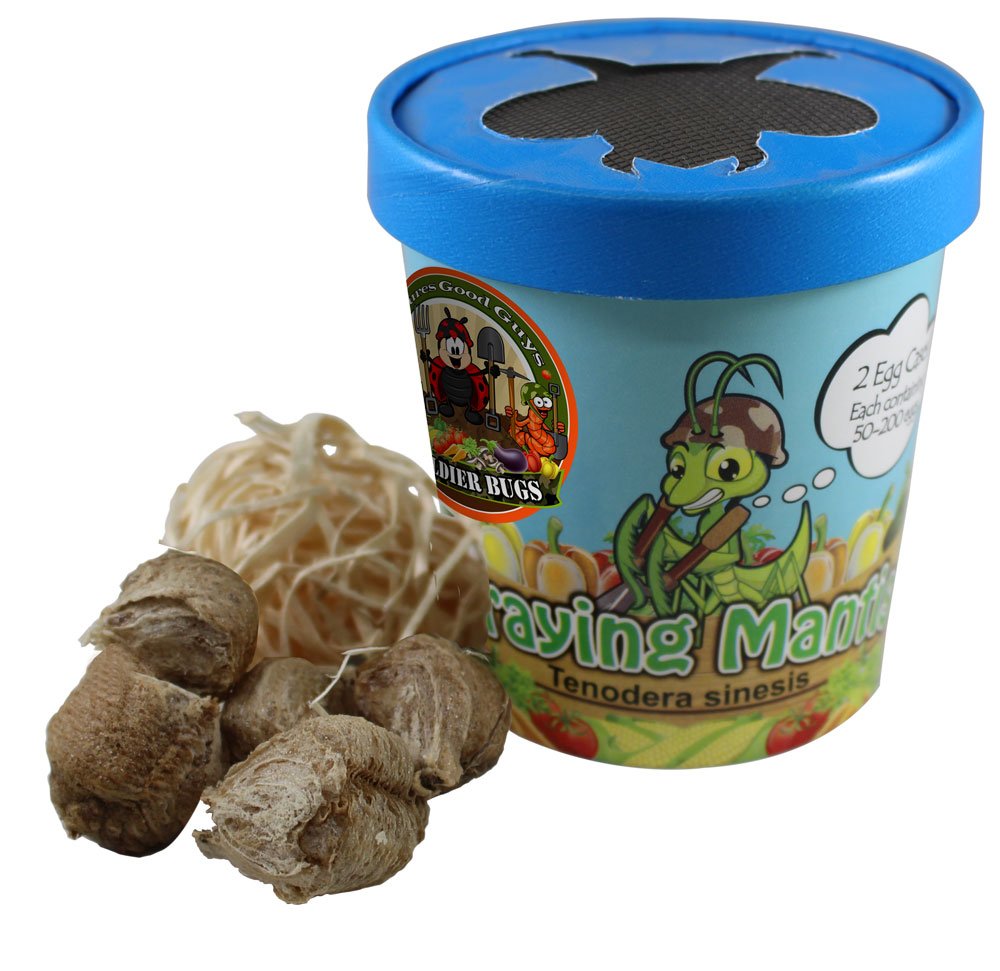 Natures Good Guys 5-Case + Ladybugs