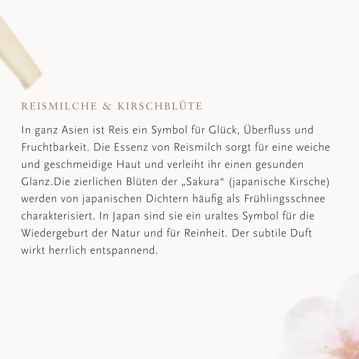 RITUALS The Ritual of Sakura Vorteilspack – Set aus Shampoo und Conditioner – Mit Weizenprotein, Chia-Samen, Reisextrakt und Macadamianussöl – Value Pack 2 x 250 ml