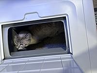 Review Image by Ashley zarek