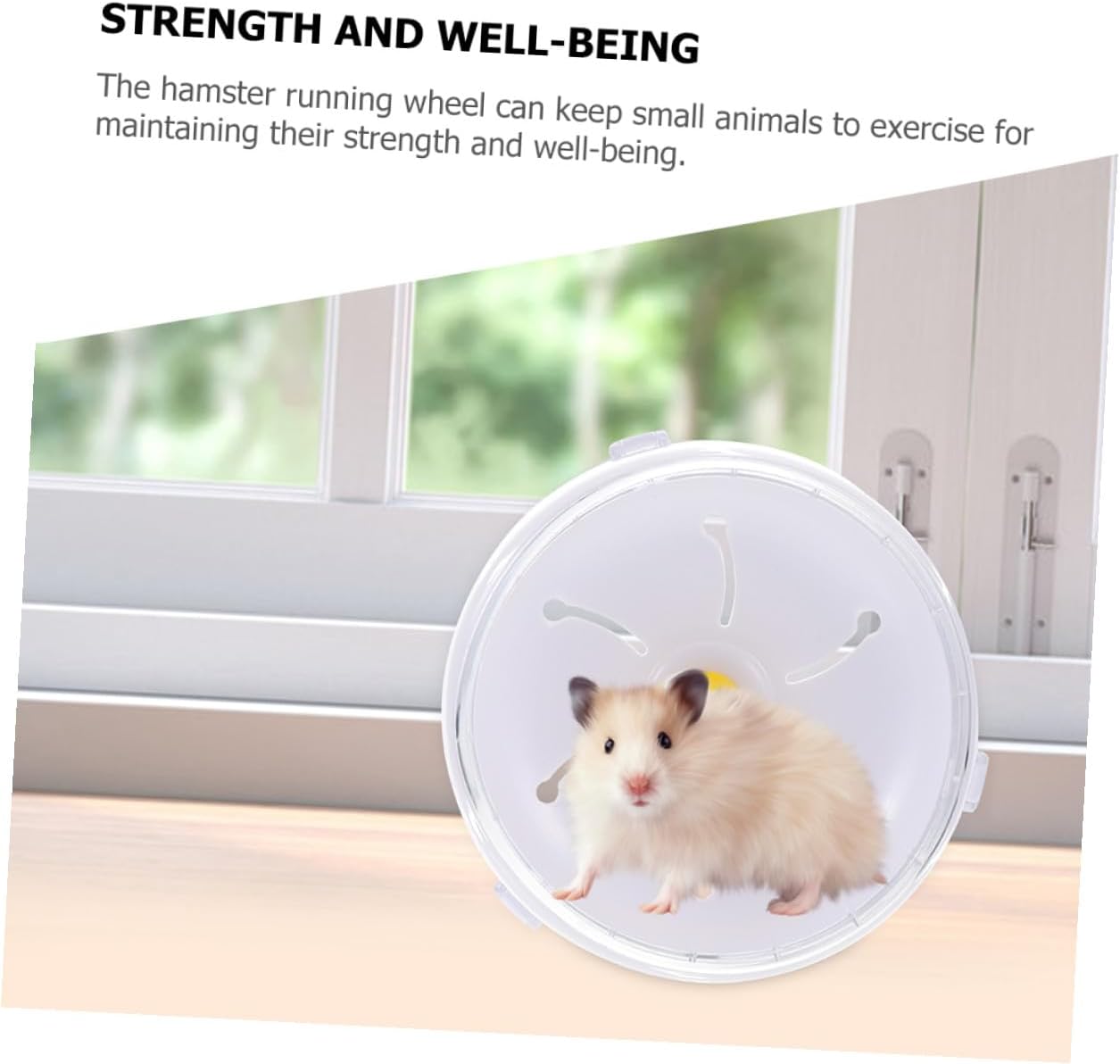 Healifty Silent Large Hamster Wheel 21cm Running Exercise for Hedgehogs, Chinchillas, Guinea Pigs, and Small Animals