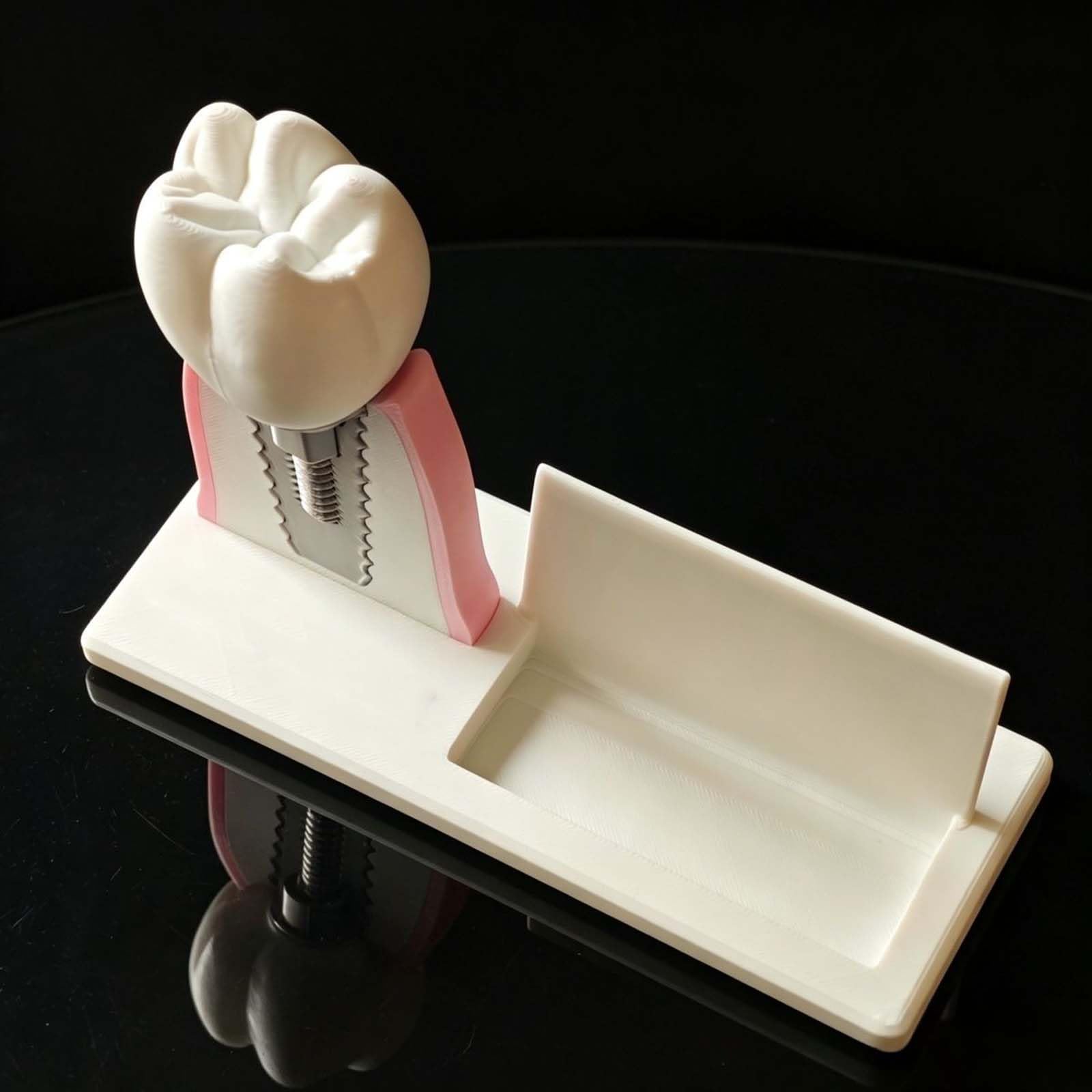 Portatarjetas de Visita de Clínica Dental Modelo de Implante Dental y Conducto Radicular para Hombres y Mujeres Soporte de Escritorio para Nombre Tarjeta Organizador de Tarjetas