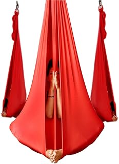Wellsem Deluxe l: 5 m l: 2,7 m yoga/pilates Flying Swing Aerial yoga amaca in tessuto di seta per yoga bodybuilding (5mx2.8 m)