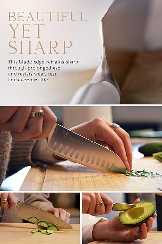 Miniatura 5 de LORDELLE - Juego de 5 bloques de cuchillos, color rosa palisandro, diseño de cocina para el hogar, acero inoxidable alemán X50, mango ABS, bloque de