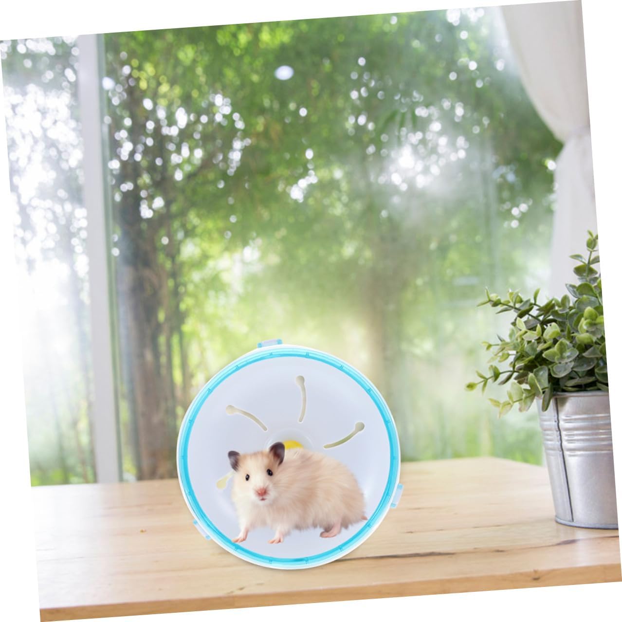 Silent Hamster Running Wheel 21cm Blue Plastic Exercise Wheel for Chinchillas Gerbils Guinea Pigs Small Animal Enrichment