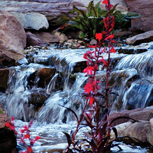 Atlantic Water Gardens TT9000 Energy Efficient Pond & Waterfall, TidalWave3 Asynchronous Pump 9000 GPH, Black - Image 4