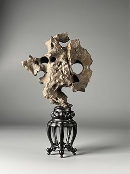 Amazon.co.jp: 「霊沢」古美術 太湖石 玲瓏石 天然石 奇石 水石