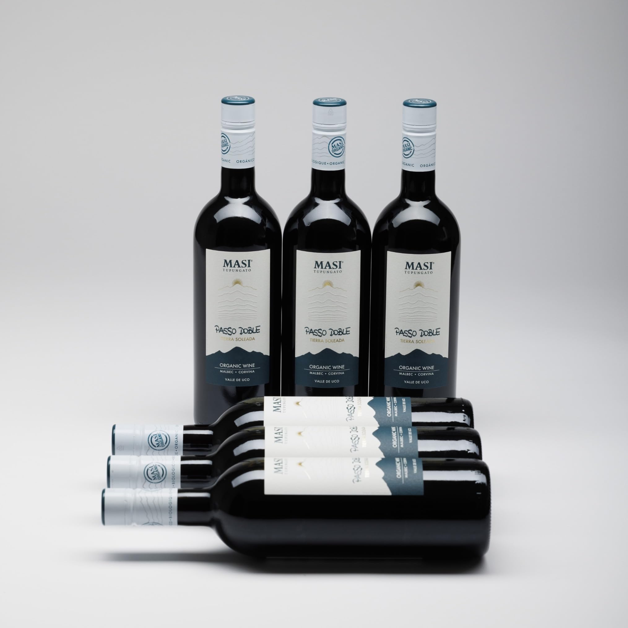 MASI Tupungato "PASSO DOBLE" 2023 | Vino Rosso di Argentina BIO | 6x750 ml | Appassimento Expertise | Confezione 6 bottiglie