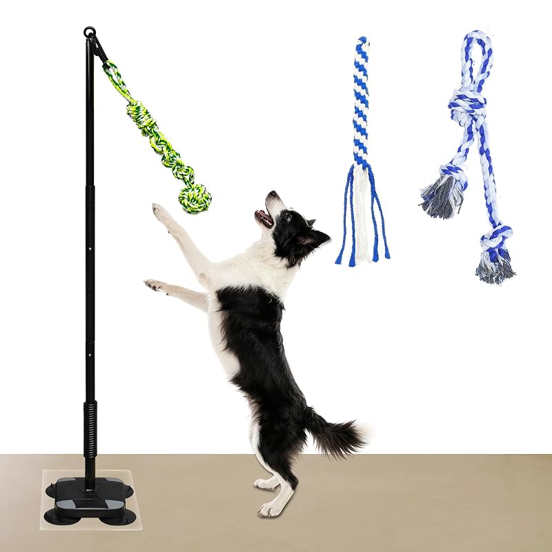 Brinquedo de Corda para Cães com Ventosa e Altura Ajustável SYOOY, 1 unidade