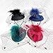 ﻿Fascinator Hats 20s 50s Hat Pillbox for Women Tea Party Cocktail Hat with Feather mesh Veil for Wedding Church (US, Alpha, One Size, Red)
