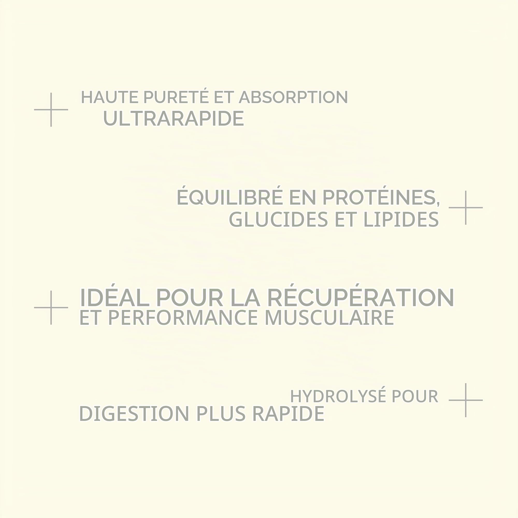 Beverly HYDRO PROTEIN - Protéines de lactosérum hydrolysées avec Digezyme et Tolerase - 1 kg - 29 g de protéines par portion - 28 portions - Excellente digestibilité - Saveur (Ananas)