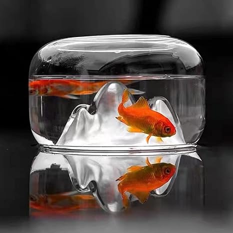 割引発見 金魚 リアル金魚鉢 おうち水族館 アクアリウム コチ瓶 Www Svom Eu 割引発見 金魚 リアル金魚鉢 おうち水族館 アクアリウム コチ瓶 Www Svom Eu