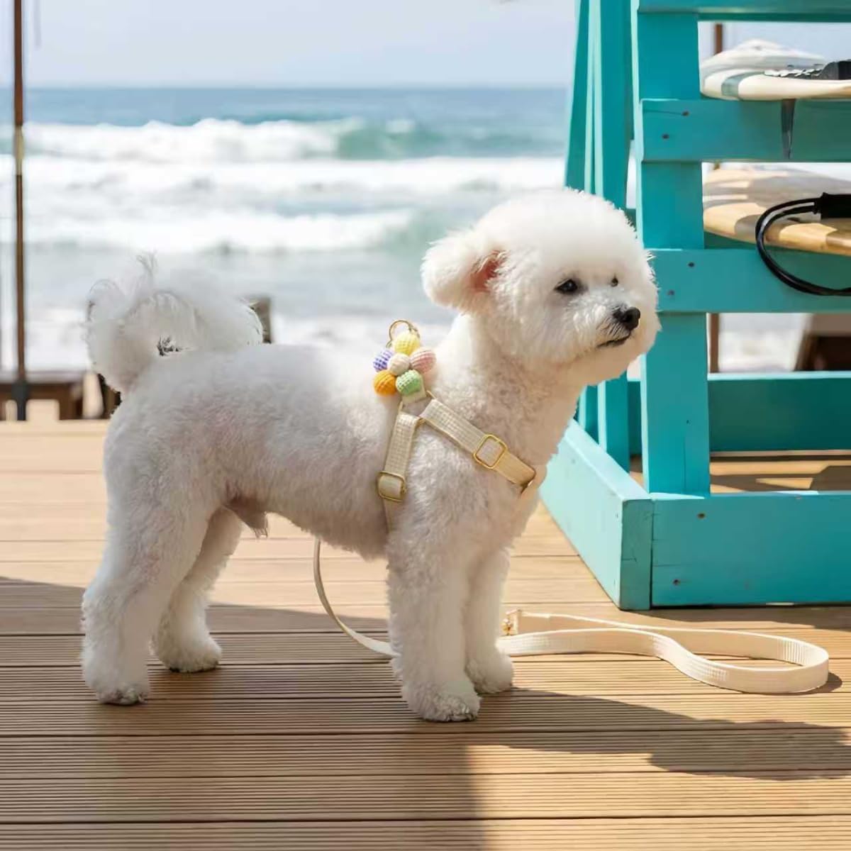 5 Sets Adjustable Bunny Rabbit Harness and Leash Set Small Pet Cute Vest Harness Leash with Flower Decoration for Bunny Ferret Guinea Pig Kitten Puppy Small Pets (M)