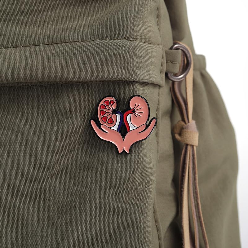 Image of Kidney Anatomy Enamel Brooch Pin for Medical Student Doctor Nurse Urology Nephrology