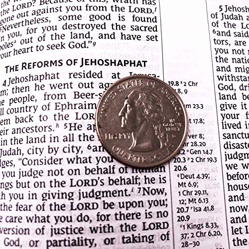 Nrsv, Thinline Reference Bible, Leathersoft, Brown, Comfort Print #TOP1