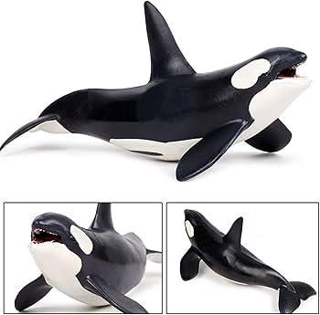 Amazon | Eden Toys シャチ マイルカ科 海獣 海洋動物 動物 模型 誕生