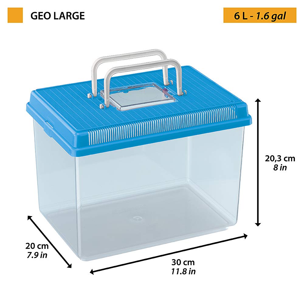 Ferplast Aquarium en Plastique pour Poissons Geo Large Bac Auarium 6 L Conteneur 30 X 20 X H 20,3 cm Bleu