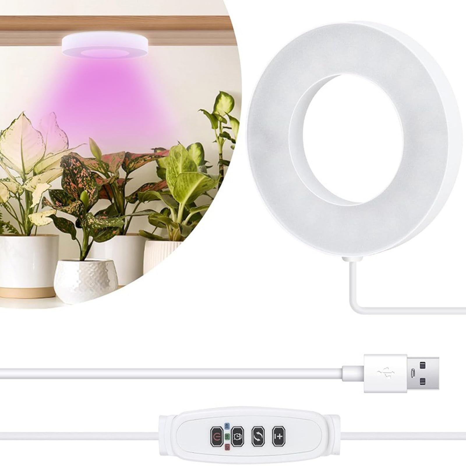 LED-plantenlamp Volledig Spectrum – USB, Met Timer (8/12/16 Uur) En 5 Dimstanden, Perfect Voor Kamerplanten, Vetplanten En Kleine Planten