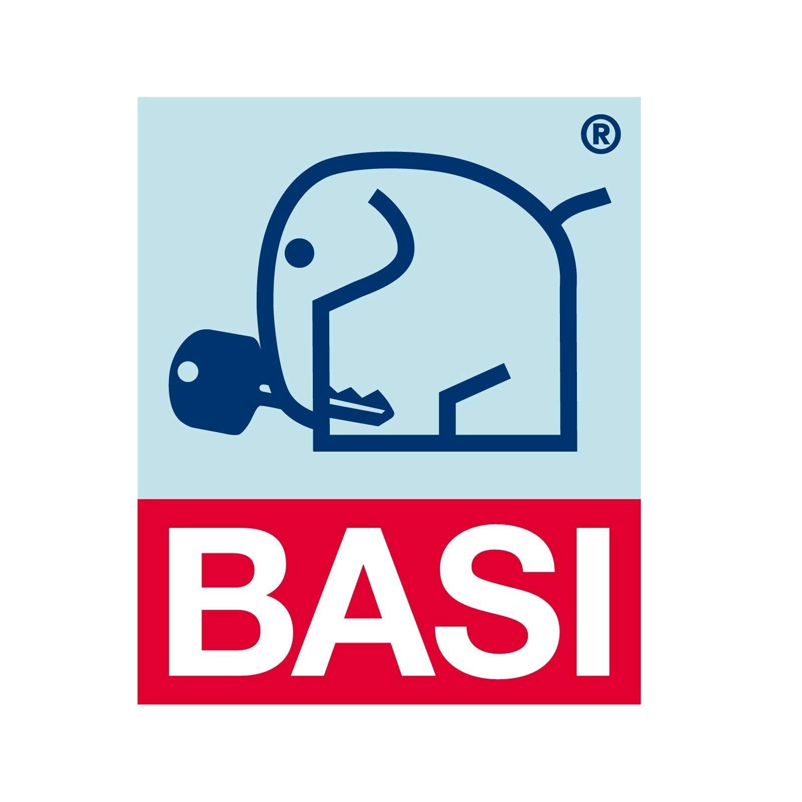 Basi Protezione antifurto per auto 109, antifurto