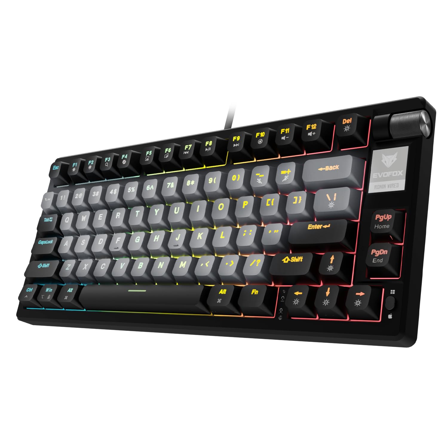EvoFox Ronin TKL Wired Mechanical Gaming Keyboard | Gasket Sound Dampening Design, Outemu Red Silent Switches, Hot Swappable, Per-Key RGB, nKey Rollover, Volume Knob | Windows Software - Black-image-36