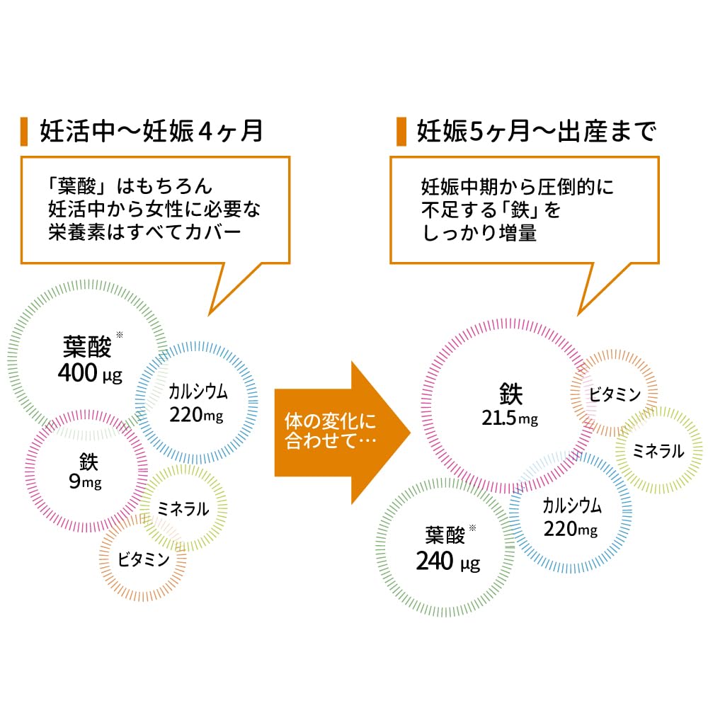 Amazon | 葉酸 ショウガヨウサン 妊娠5ヶ月～出産 30日分【時期別