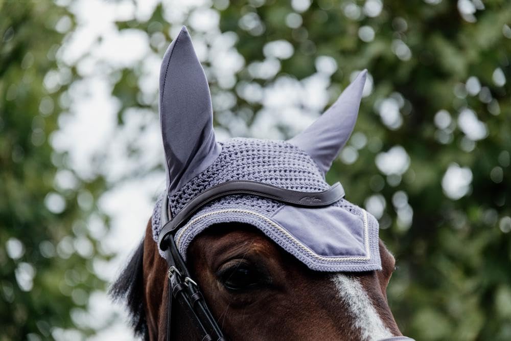 Kentucky Horsewear - Bonnet Wellington Velvet - Violet - pour Cheval