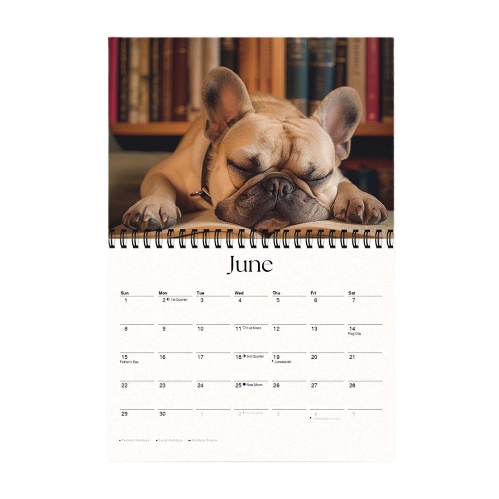 Calendario De Yoga Para Perros 2023 Paquete De Calendario De Pared De Lujo 2023 Con Mas De 100 Calcomanias De Calendario Regalos Para Amantes De Los