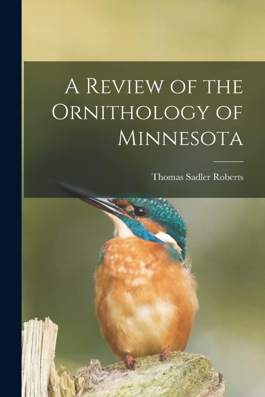 A Review of the Ornithology of Minnesota