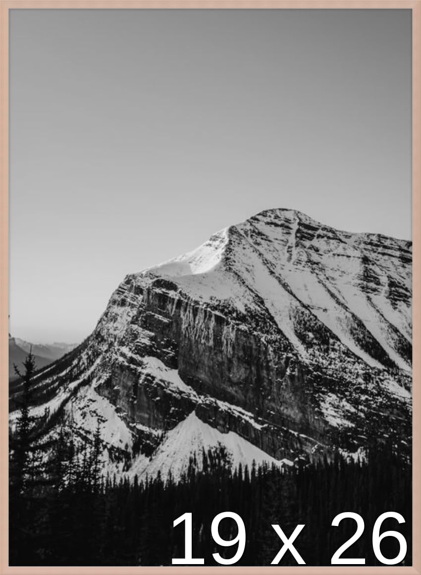 Frame It Easy 19 x 26 Rose Gold Metal Frame (Ashford)