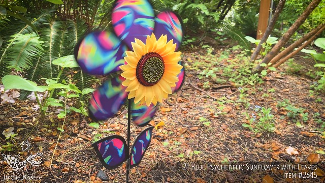 Amazon.com: In the Breeze 2677 — 12 英吋(約30.5 公分)藍色迷幻