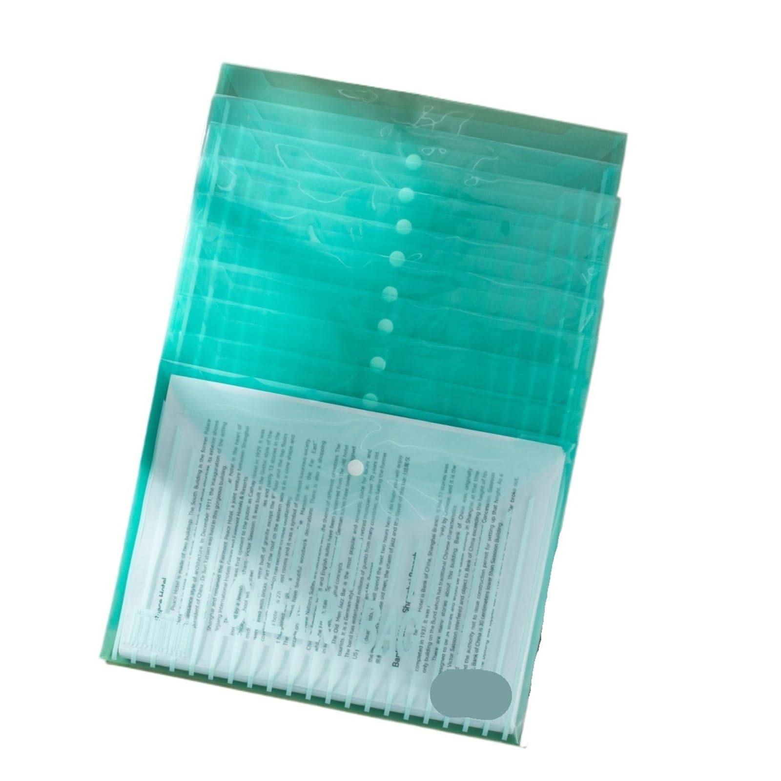 cartella plastica trasparente, 10 pezzi modello verticale A4 trasparente addensato Bottone portadocumenti multicolore(Green)