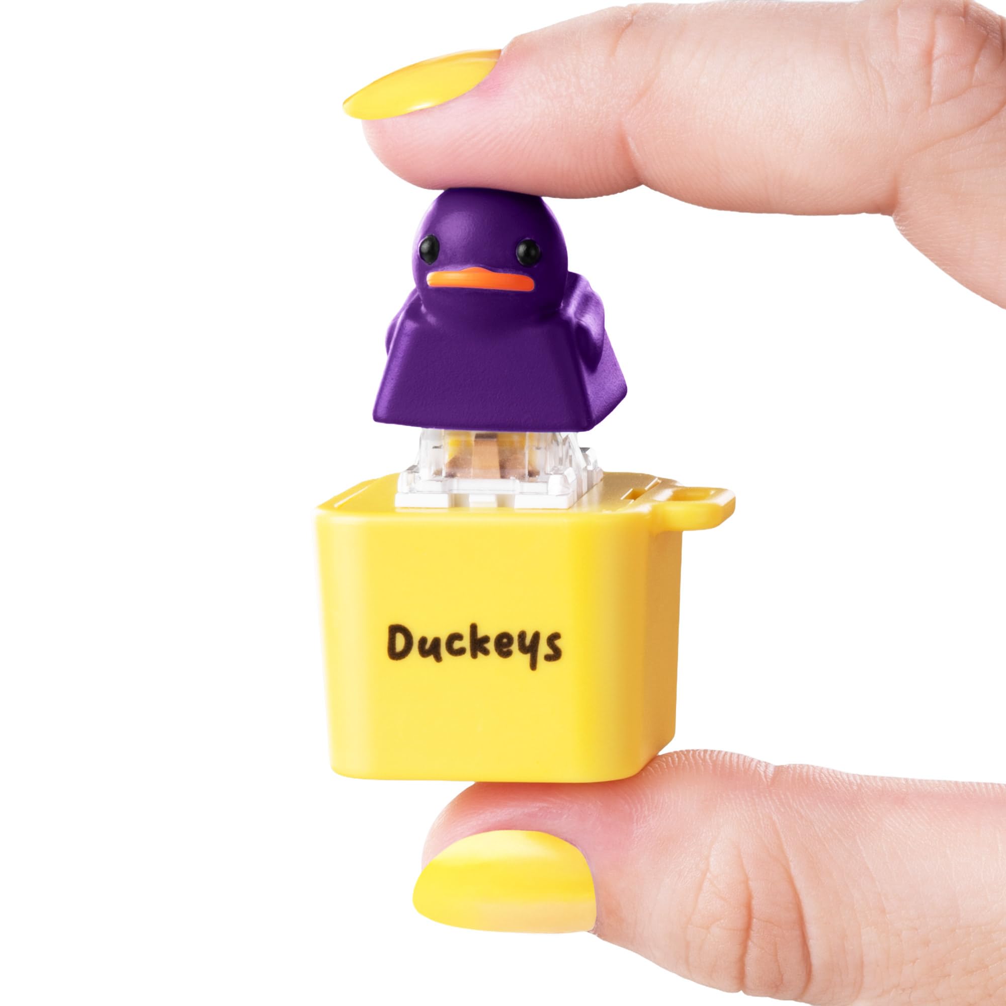 Fidget Toy - Quacking Sound Stress Relief Toy for Adults and Kids - Ideal for Anxiety Relief and Focus Enhancement