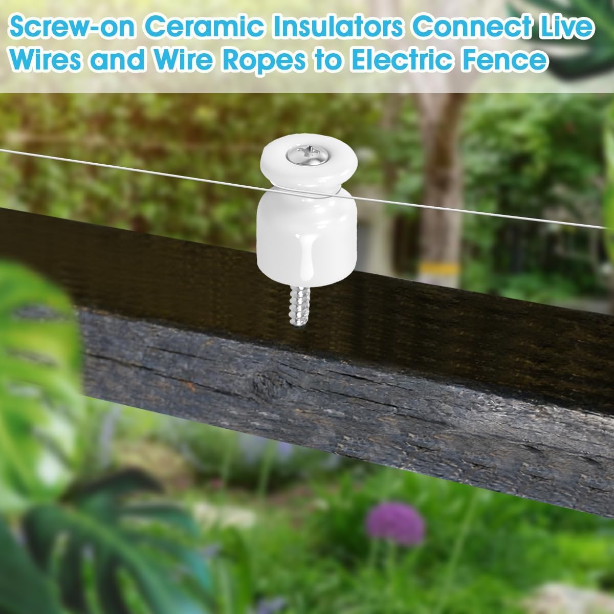 50PCS Aisladores de Porcelana para Cable Trenzado Ø19 mm, Abrazadera Cable Porcelana, Aisladores de Ceramica Blanco, Aislante dePorcelana con Tornillos y Tacos para Seguridad deCable Eléctrico