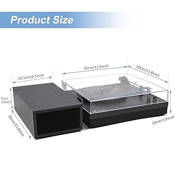 Amazon.com: LP&NO.1 Vintage Record Player with Dual External