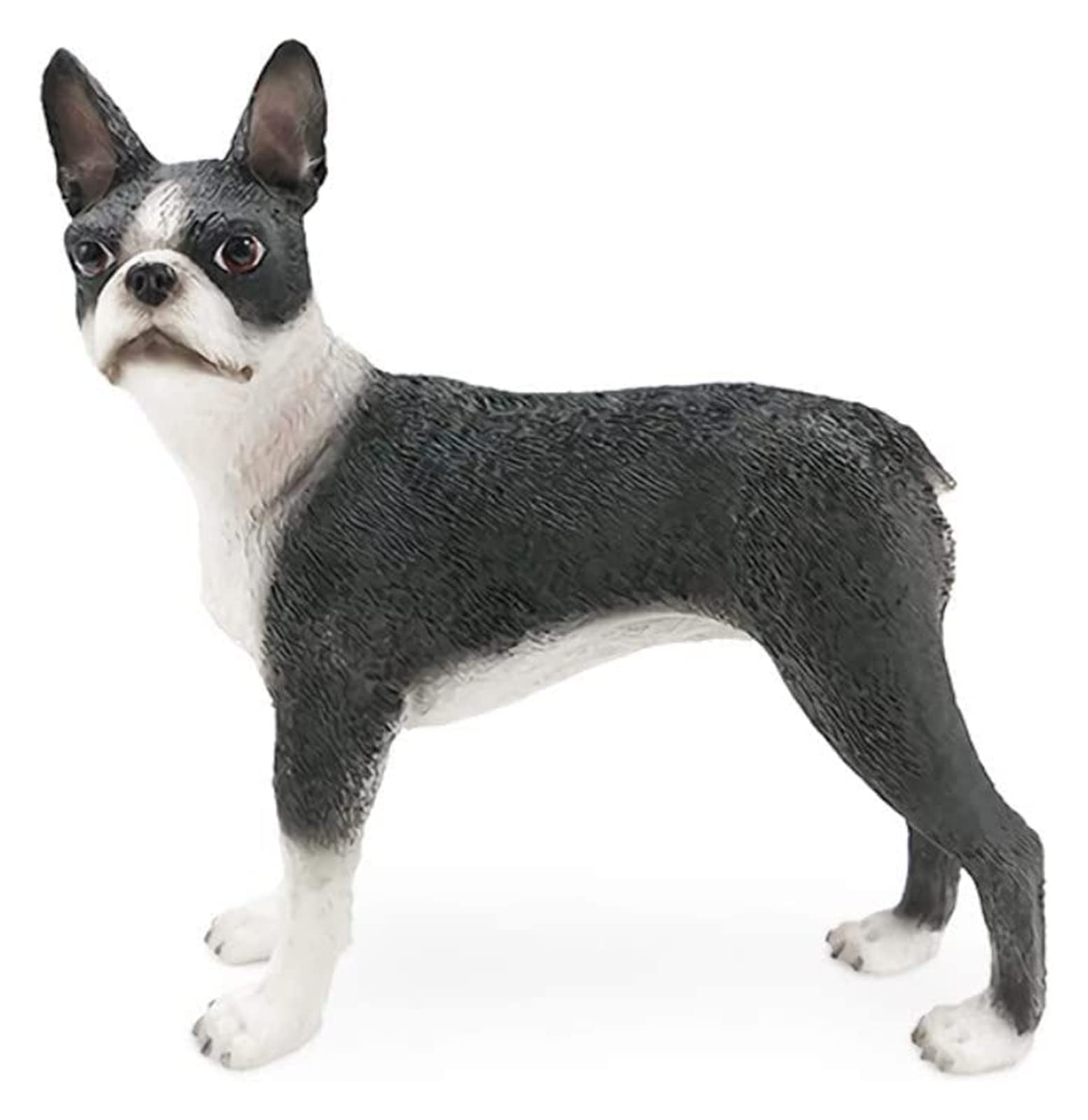 Figurine Boston Terrier décoration de salon et chambre chaleureuse - 8