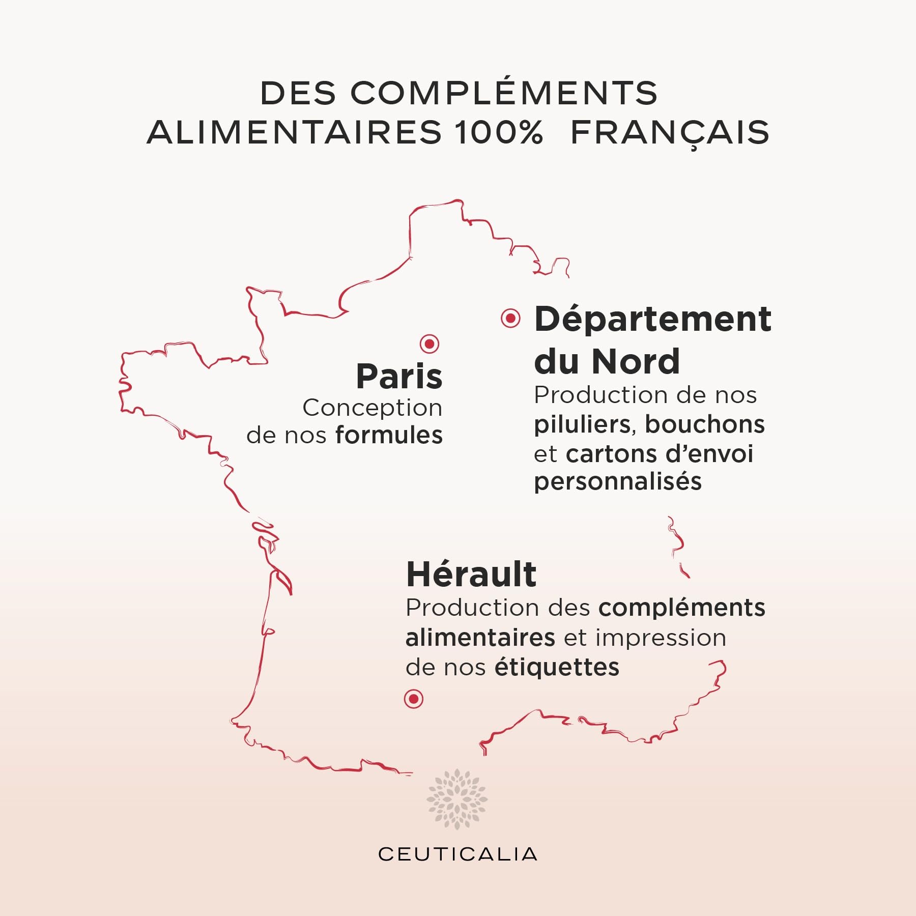 Complément Alimentaire Énergie et Vitalité - Boost Energie Anti Fatigue et Épuisement - Pour Adulte - Ginseng, Guarana, Maté, Acérola, Magnésium, Vitamines D et B - 180 Gélules - 90 Jours