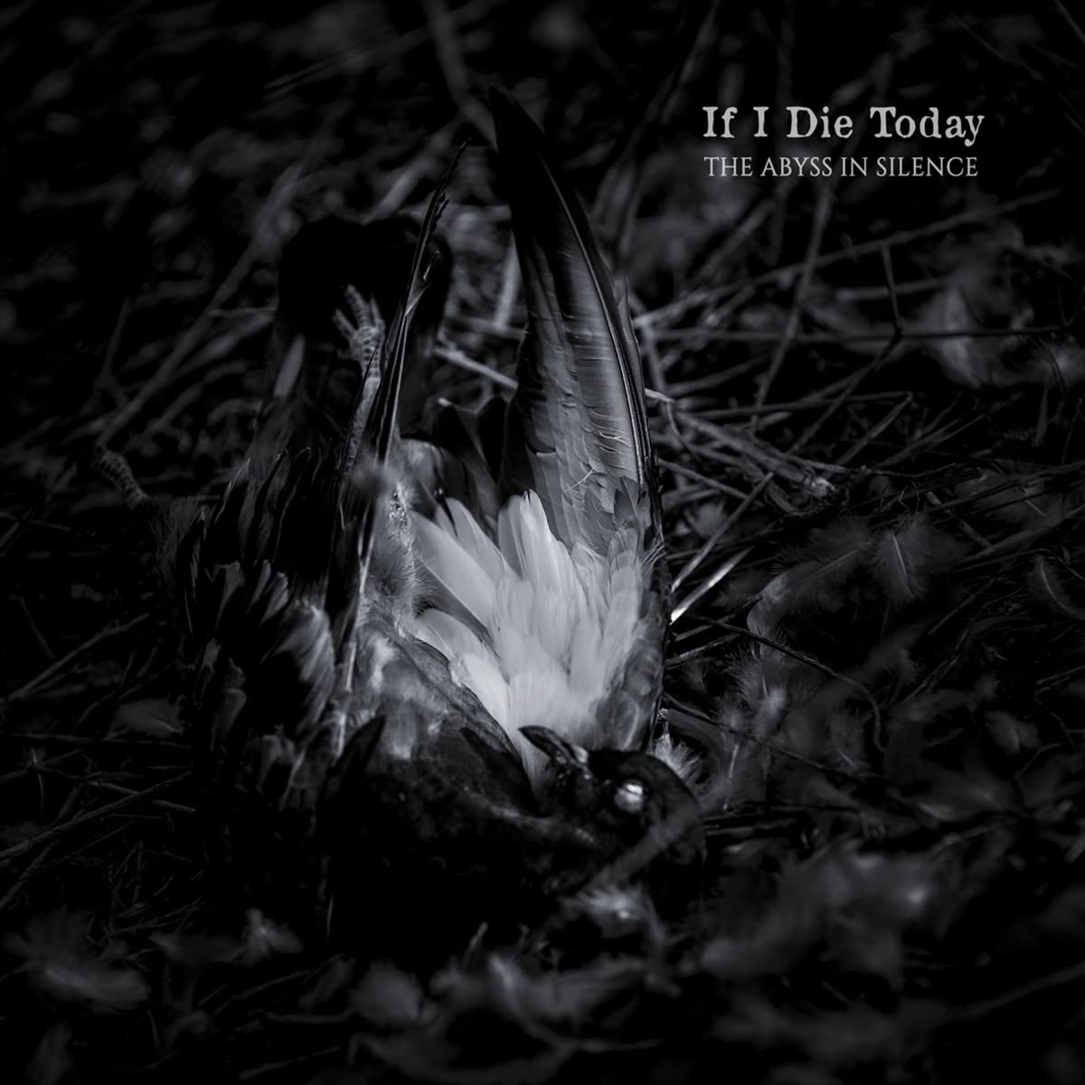 If I Die Today Abyss In Silence CD NEW
