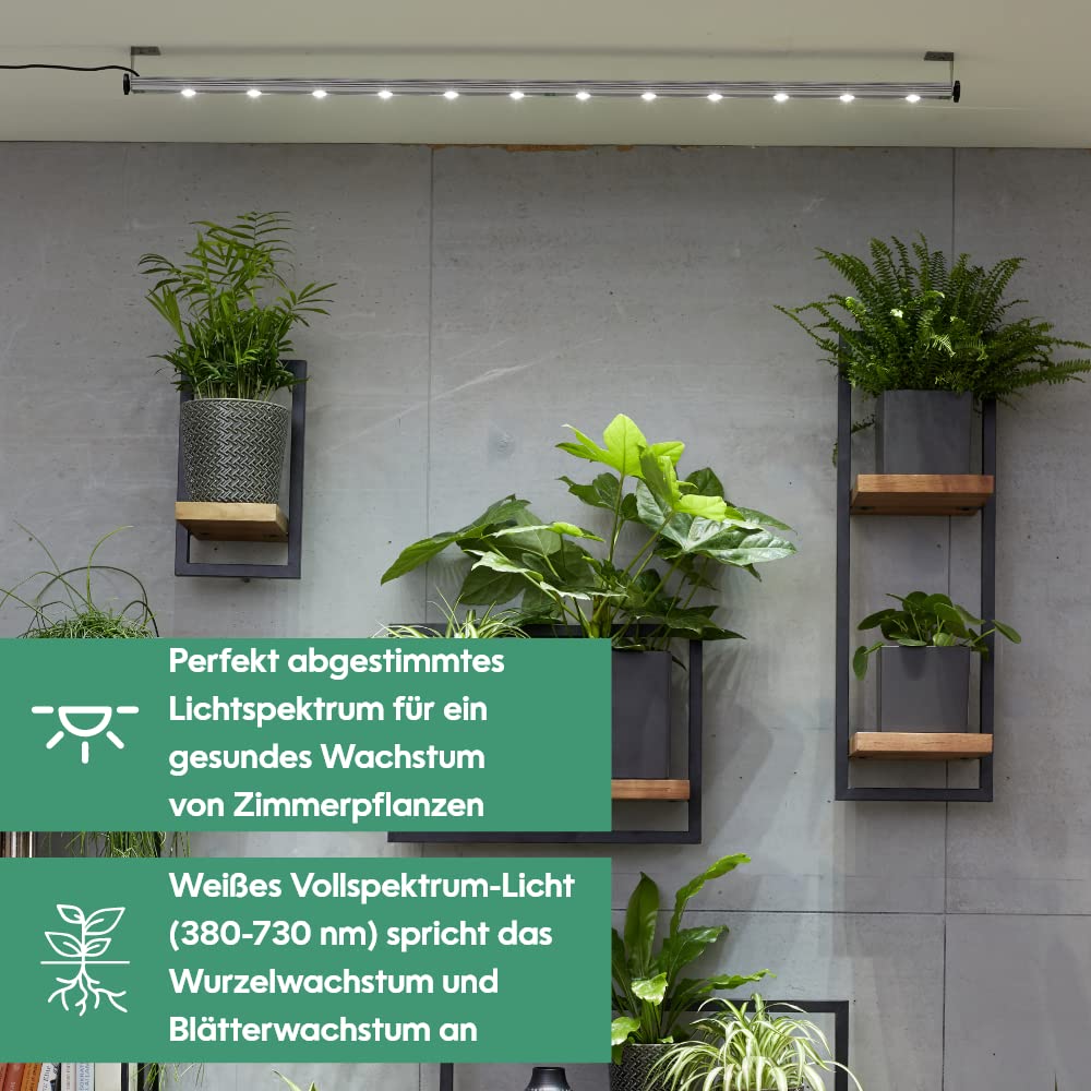 Parus by Venso Wall Spot 60cm, Abstrahlwinkel 120°, LED Wachstumslampe, Grow Light für Zimmerpflanzen und Grünpflanzen, Fassaden- und Wandbegrünung