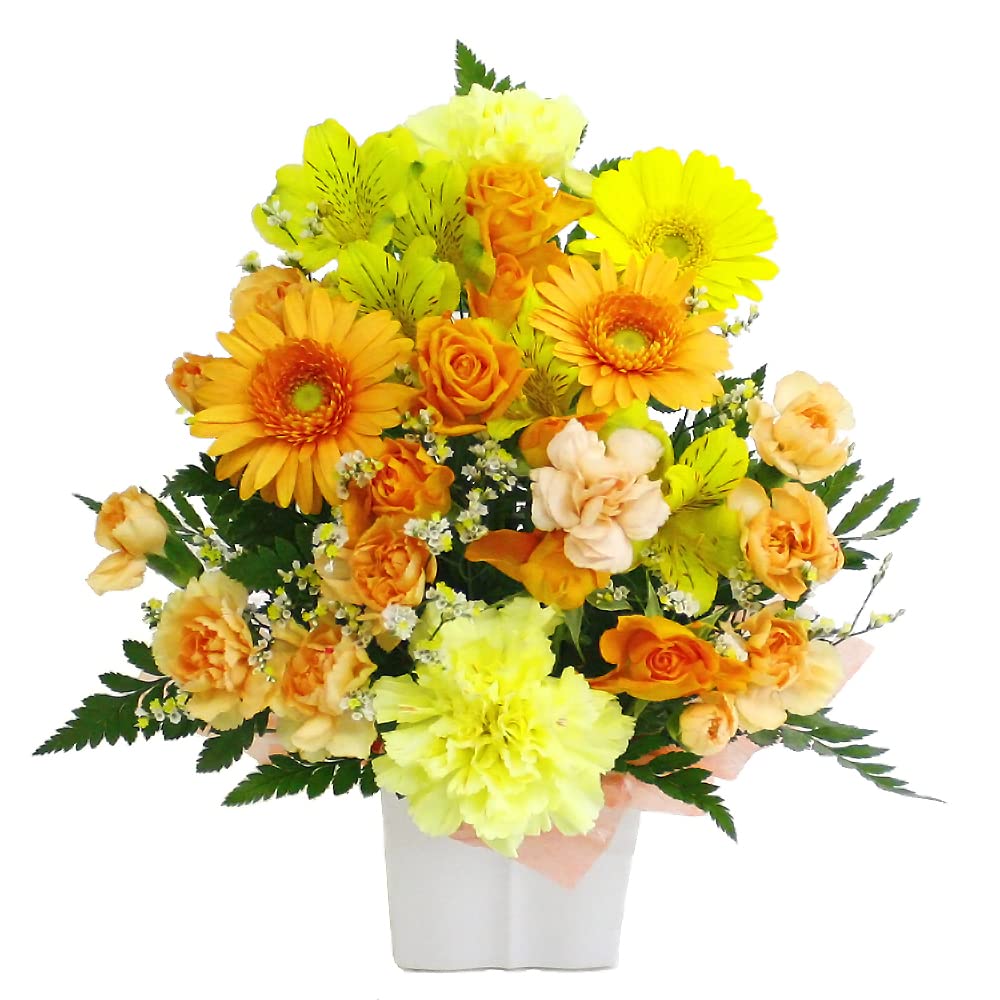 花・観葉植物の商品画像