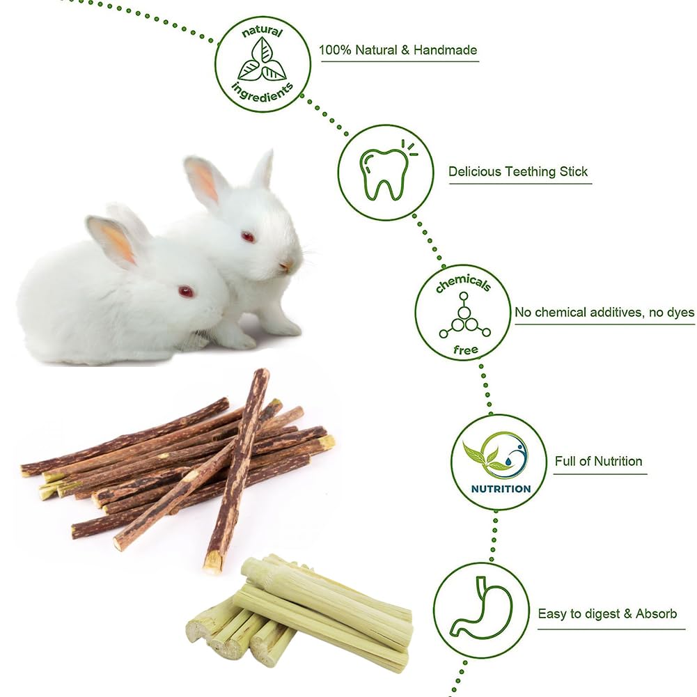 Bastoncini Di Legno Di Melo Per Animali | 40 Pezzi | Giocattolo Da Masticare Per Conigli, Criceti, Cavie | Naturale - Foto 8