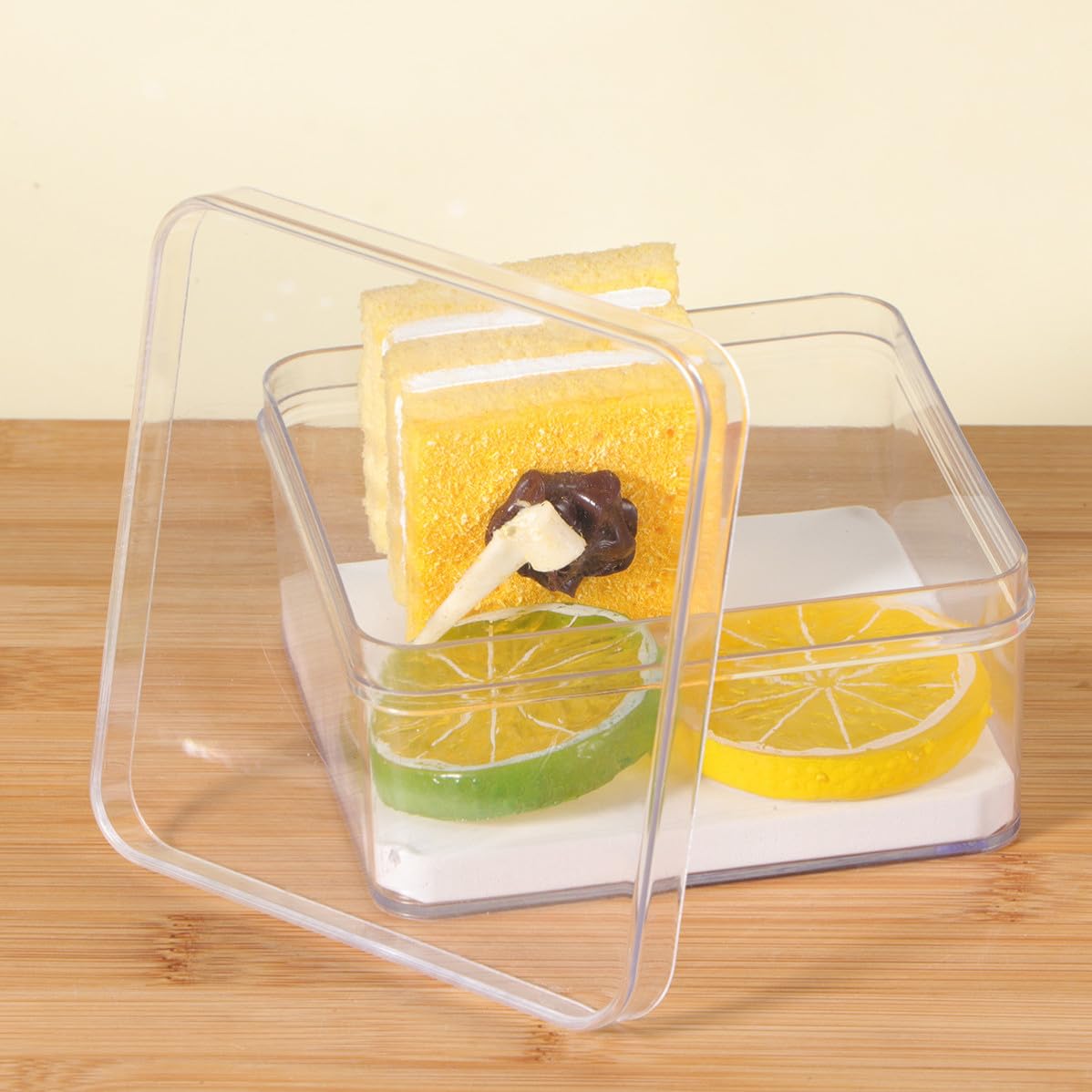 MAGICLULU Transparente und Insekten Ausstellungsbox Probenbox Multifunktionale aus Kunststoff mit Deckel Pflanzenvitrine zum Schutz und Aufbewahrung von Kleinen Proben