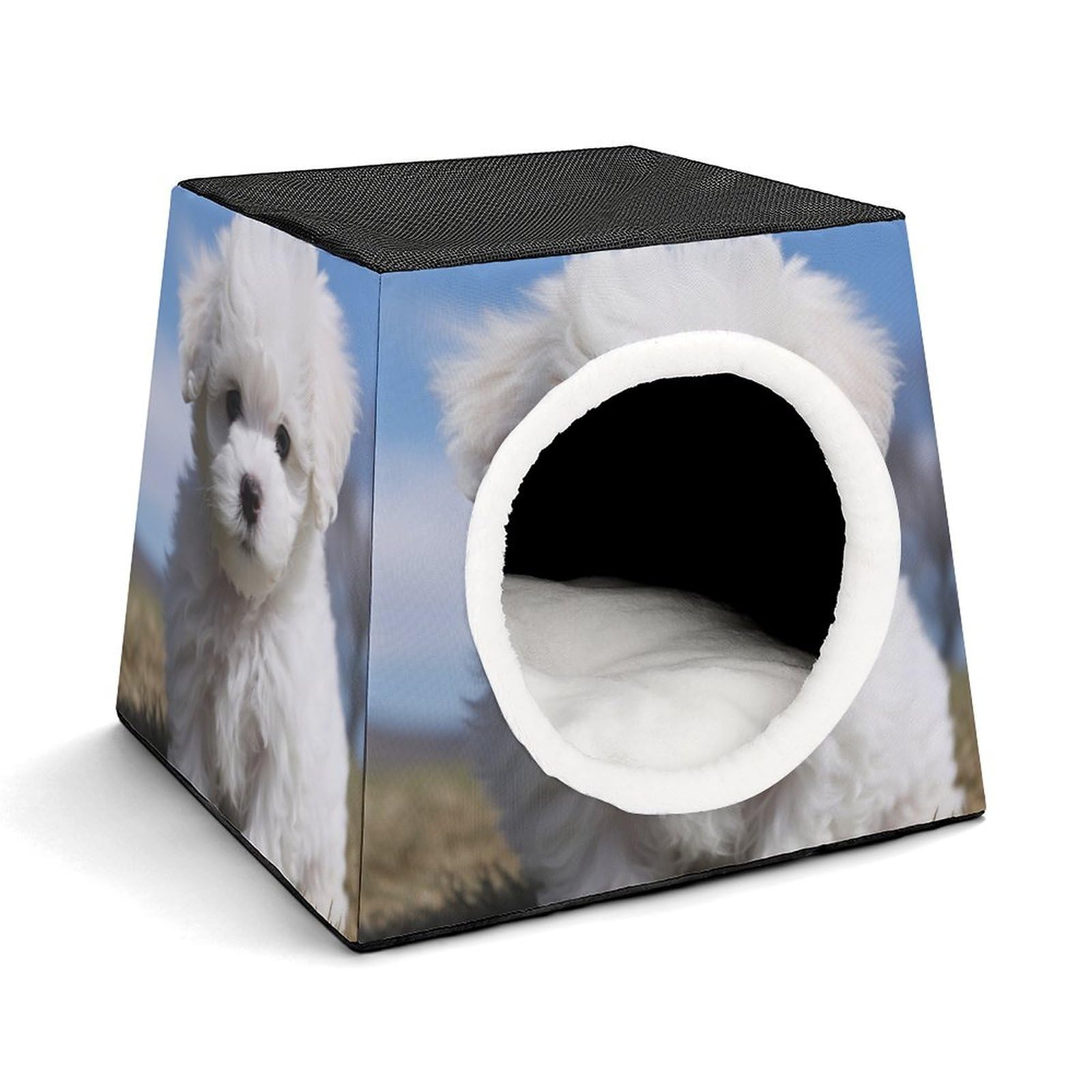Nichoir confortable pour animaux et chat d'intérieur capsule d'espace