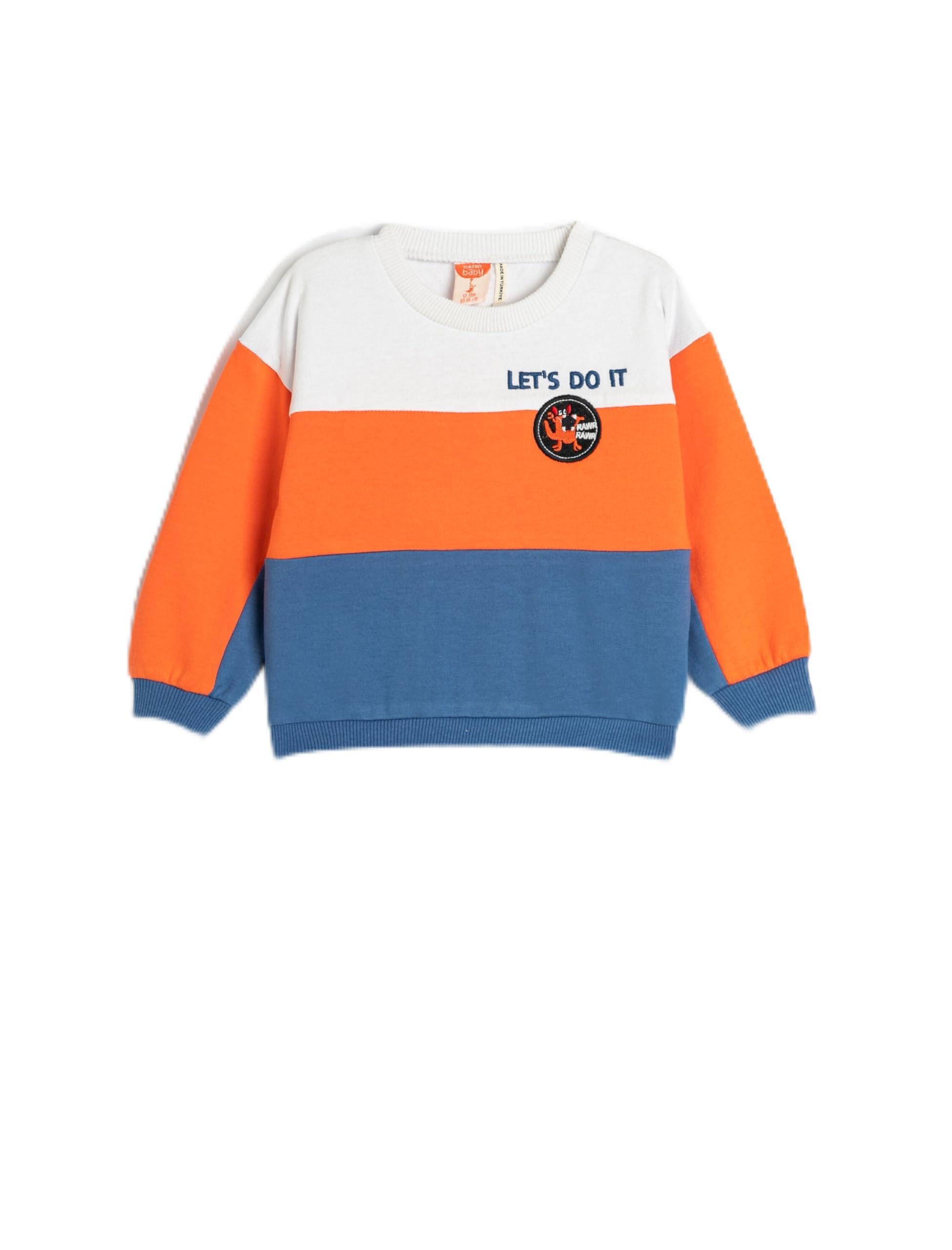 Sweatshirt Renk Bloklu Bisiklet Yaka Şardonlu Aplike Detaylı Pamuklu