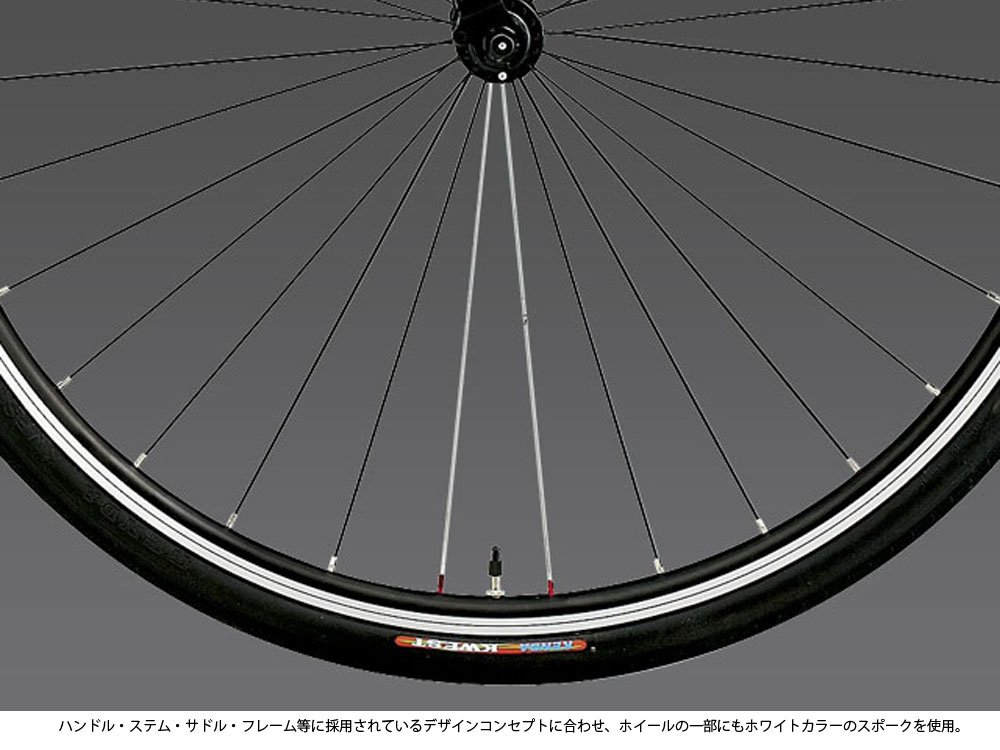 Amazon | LOUIS GARNEAU(ルイガノ) クロスバイク CHASSE MATT LG BLACK
