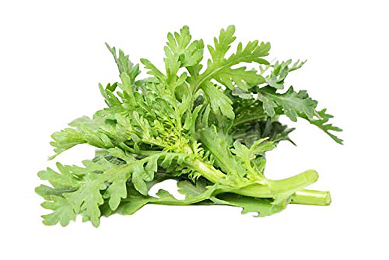 Chrysanthemum Serrated Leaf Seeds - Oasis Chrysanthemum Coronarium - for Culinary Use