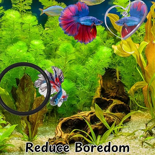 Image of Betta Ring and Mirror Toy for Aquarium, 2 pcs Betta Ring Enrichment Toys, Floating Exercise Mirrors for Fish Tank and Training Feeding Rings, Fish Toys, Aquarium Accessories (Black, M-Heart)