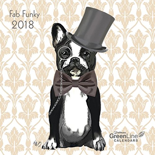 Preisvergleich Produktbild GreenLine Fab Funky 2018: Mini-Broschürenkalender