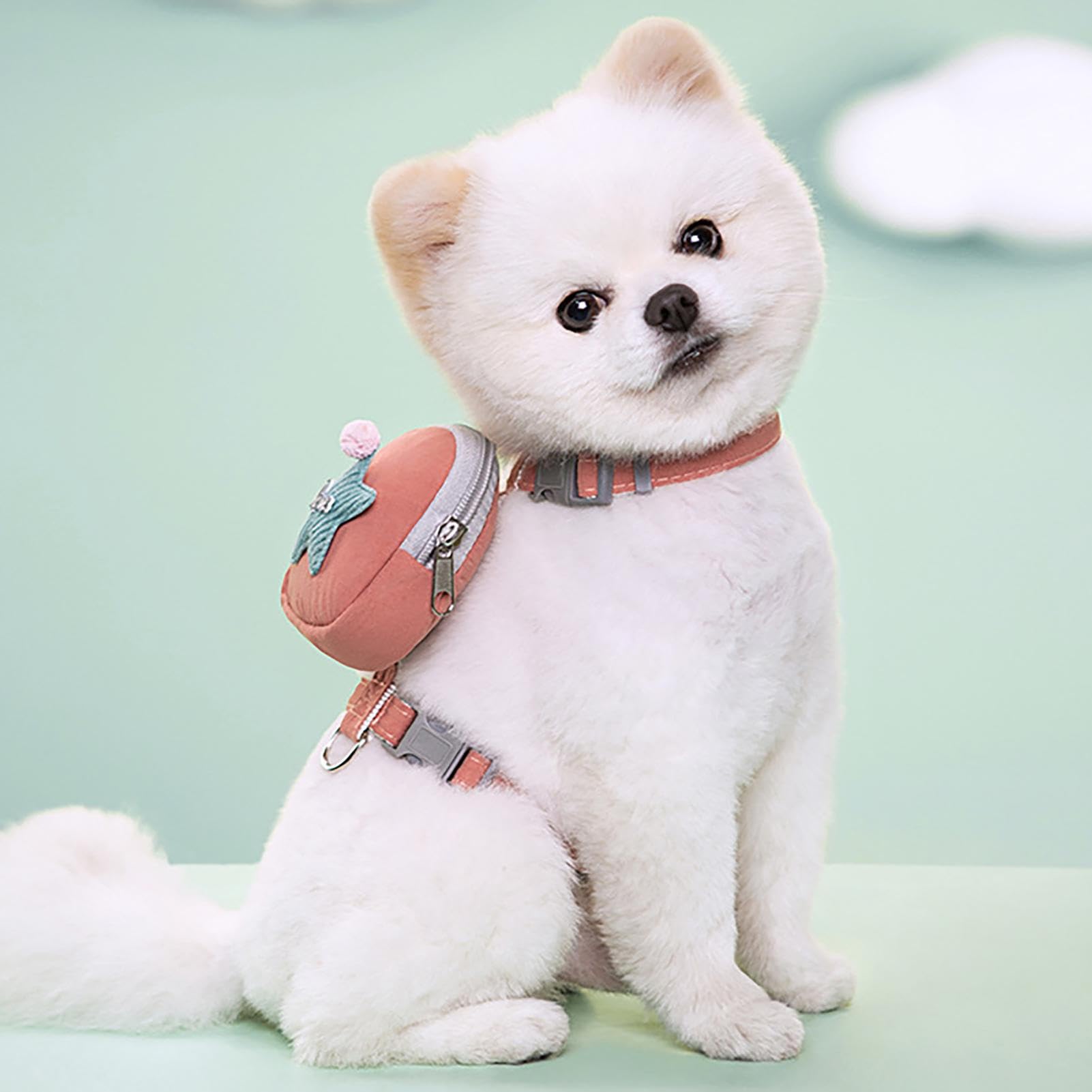Zankie arnés Mochila para Perro - Mochila con arnés para Perros y Gatos con Correas Ajustables,Ropa para Perros Decoración para Mascotas para Caminatas diarias, Caminatas, Entrenamiento